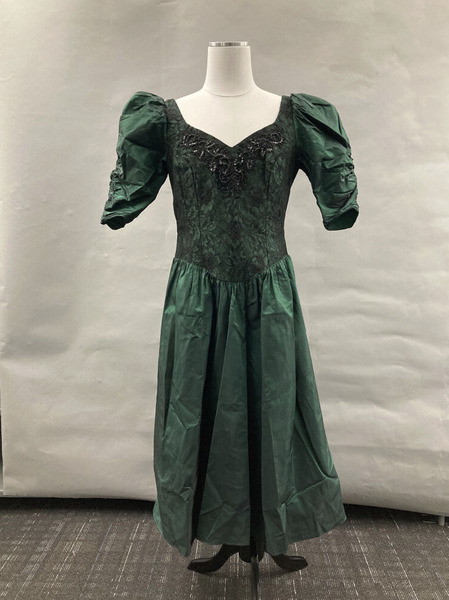 Download the full-sized image of Green Lace Gown