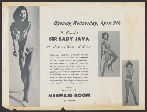 Download the full-sized image of Informational Flyer for Sir Lady Java Shows