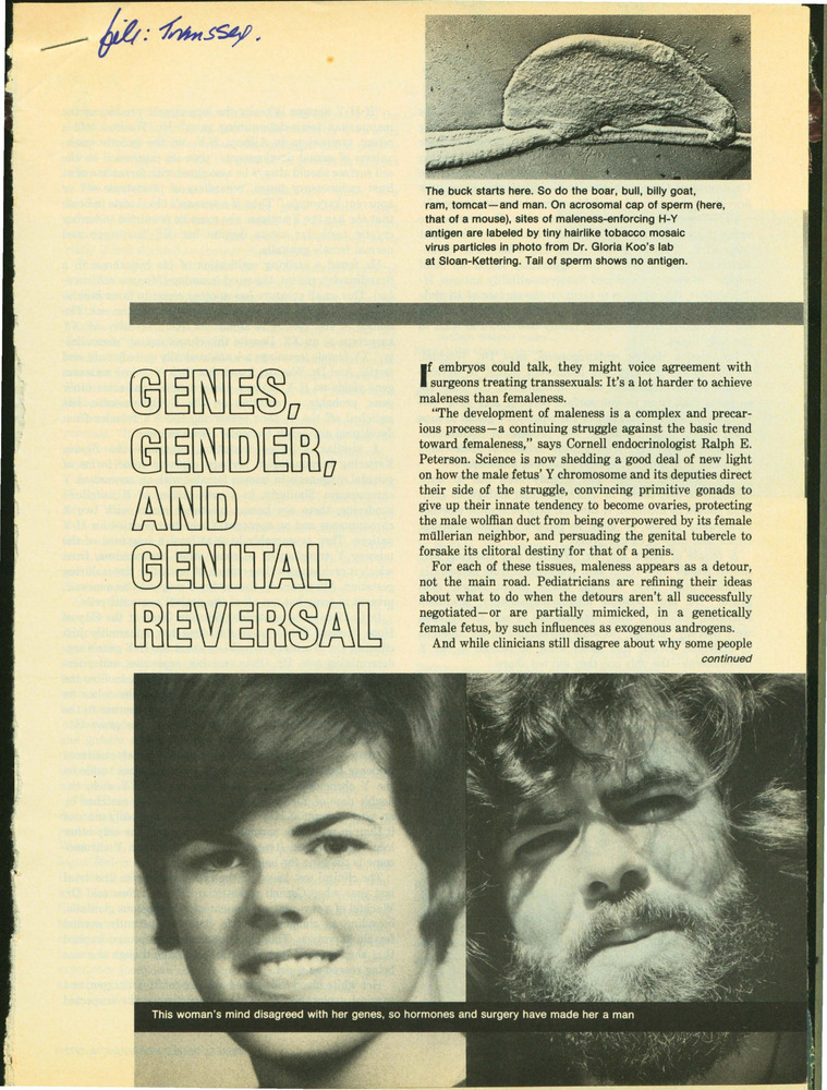 Download the full-sized PDF of Genes, Gender, and Genital Reversal